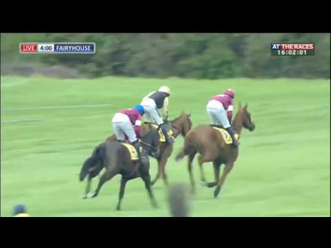 Yorkhill behaves badly in the Ryanair Gold Cup Novice Chase