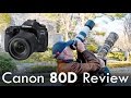 Canon 80D Review Vs 70D 7D Mk II Nikon D5500 Sony A6300