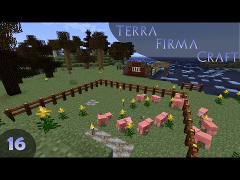 Piggies! - Minecraft TerraFirmaCraft - Episode 16