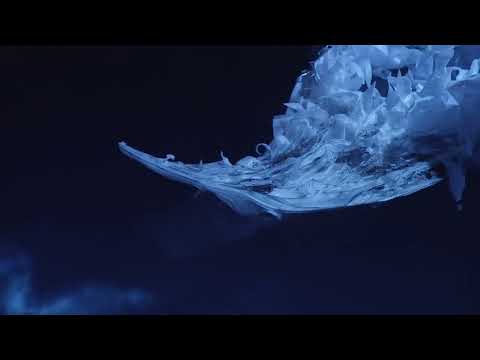 Said The Sky & Tina Guo - A Distant Breath | Official Audio