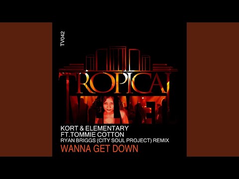 Wanna Get Down (Ryan Briggs (City Soul Project) Remix)