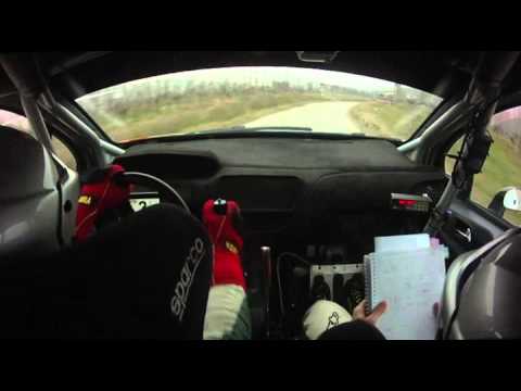 Cameracar Rally del Piemonte 2015 Gulfi-Rivoir 208 R2B - PS 3