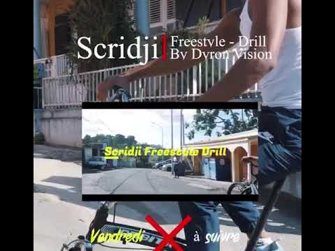 Scridji ns squad 139