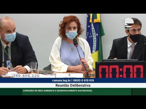 Meio Ambiente e Desenvolvimento Sustentável - Discussão e votação de propostas - 14/09/2021