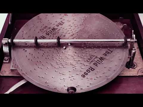 In Action :: Mira Disc Music Box