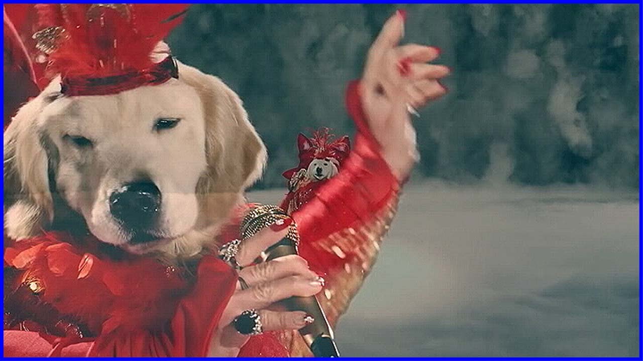 いいなCM　日清紡ホールディングス　ドックシアター　2014