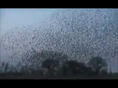 Stam Records presents KANOI - DRIFTIN'