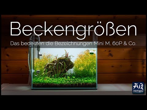 What does 60P, 120F, etc. mean? | AquaOwner