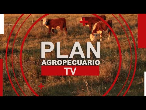 Programa del Plan Agropecuario del 10 de junio de 2024