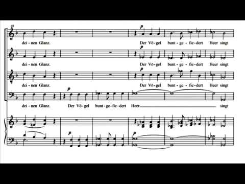 Franz Schubert, Kwartetten/Quartet D439  "An die Sonne"