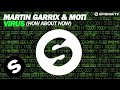 Martin Garrix & MOTi - Virus (How About Now ...