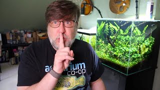 Choosing A Fish Tank