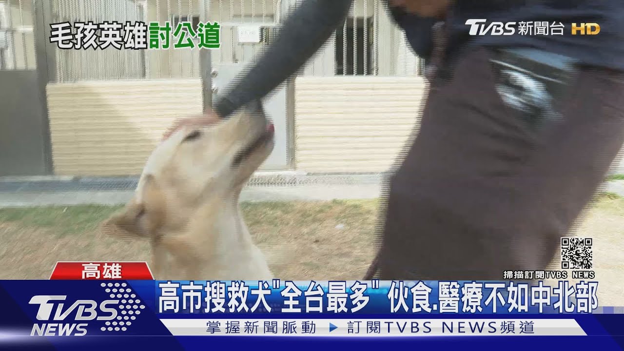 差別待遇!高雄市搜救犬「全台最多」 預算待遇不如北中