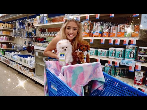 Porto i Miei CAGNOLINI a Fare SHOPPING!