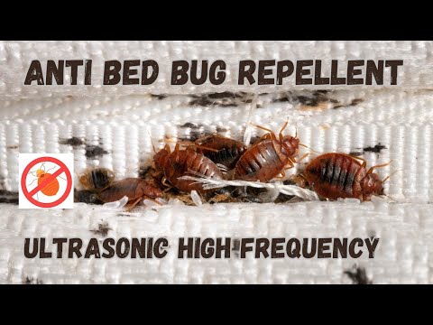 Anti Bed Bugs Repellent | Keep Bed Bugs away from your Bed | Ultrasonic Bug repellent #bedbugs