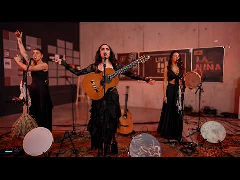 LA NIÑA - Full Performance (Live on KEXP)