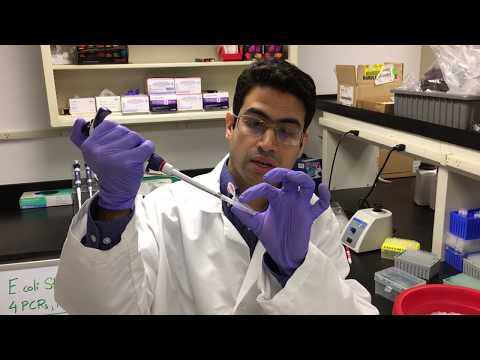 Quick Tips for PCR
