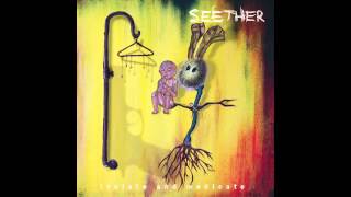 Seether - My Disaster