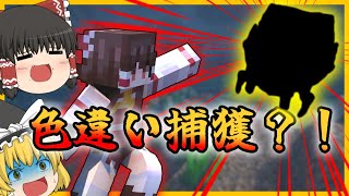 【Minecraft】今度こそ色違いを捕まえた？！【ゆっくり実況】【ポケモンMOD】