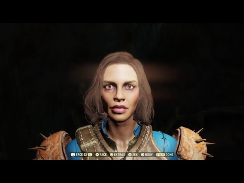 Fallout 76 (PS4) Level 24