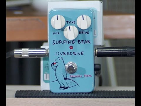 Animals Pedal Surfing Bear Overdrive - Effects Pedal For Electric Guitars - NEW! image 4