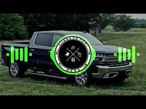 VAQUEIRO TAMBÉM AMA - PISADINHA DO VAQUEIRO (MUSGA DE HOMI)