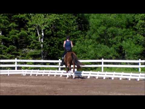 Boundless by Belissimo M schooling