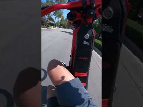 POV: you try to wheelie with 20mph winds #wheelie #talaria #emoto #ebike #sister #crash #bikelife