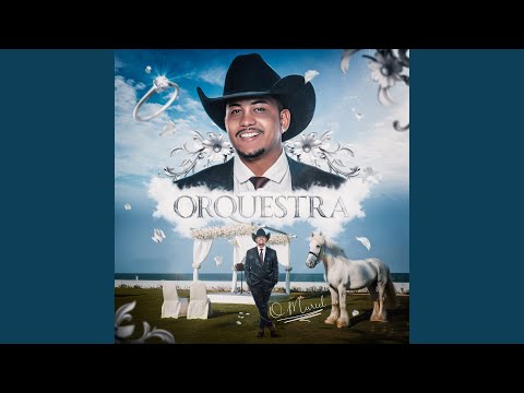 Orquestra