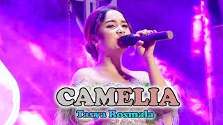 Download lagu CAMELIA l TASYA ROSMALA l BOSS MUSIC  ( LIVE MUSIC WEDDING PARTY ) mp3