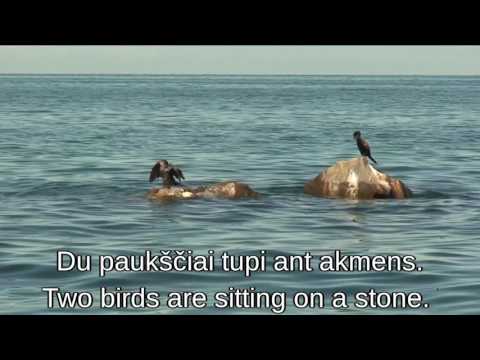 Lithuanian Lesson 24 - Ežeras - The Lake