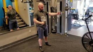 Cybex - Single Arm Fly