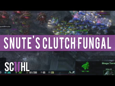 Snute's Clutch Fungal - Dreamhack Valencia