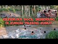 Keseruan Bocil Mandi Di Area Sungai Pasang Surut Anak Perairan Banyuasin