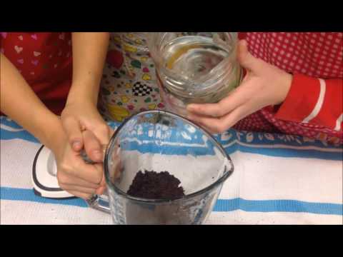 download lagu mp3 mp4 Lithuanian Poppy Seed Milk Recipe, download lagu Lithuanian Poppy Seed Milk Recipe gratis, unduh video klip Lithuanian Poppy Seed Milk Recipe