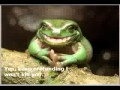 Crazy Frog Popcorn Grime Styles Remix