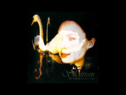 Silentium - Grieving Beauty (remake)