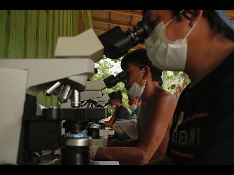 Strengthening Disease Prevention Efforts with Yanomami Indigenous Communities