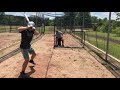 Evan Krolewski Baseball Recruiting Video