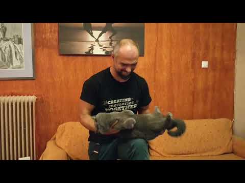 The Gatoneon of Michalis Souvleris playing Hugo Diaz