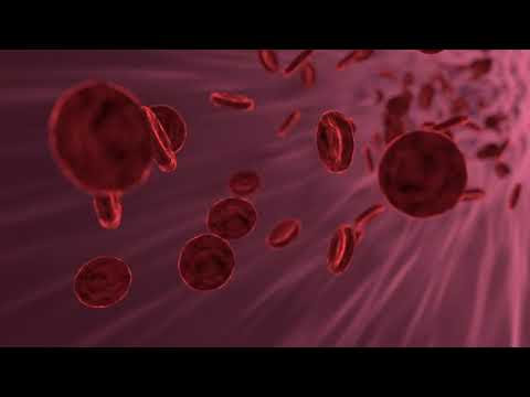 Affirmationen Selbstheilungskräfte aktivieren MITTELLANG, Heilung auf allen Ebenen, Immunsystem