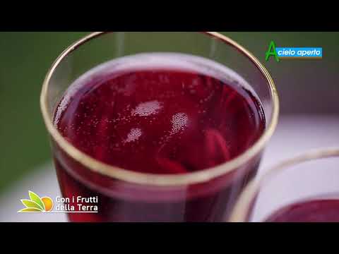 Puntata del 7/2/21 –  3° parte – Lambrusco e cereali: bilanci e progetti