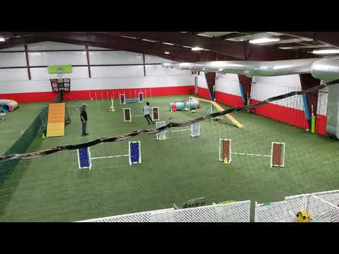 Blazin' Doggie Training Video