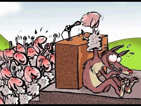 Tegude partei (KOV 2017)