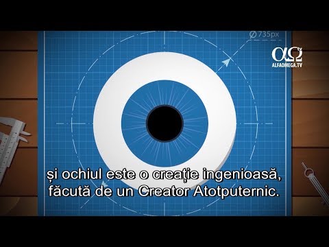 examinarea vederii și a normelor date vizuale