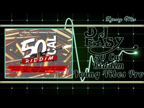 50 Cal Riddim mix Promo {FEB 2015} (Young Vibes Production)