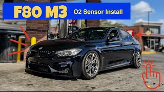 F80 M3 O2 Sensor Install DIY