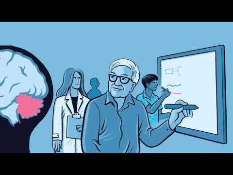 What is the Cerebellum?