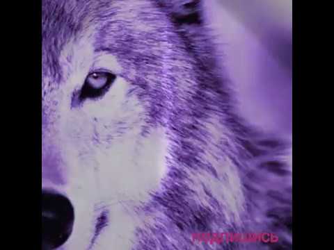 На двоих (Ellen Weller)