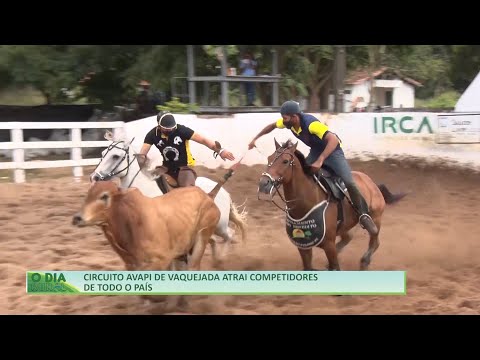 Circuito Avapi de Vaquejada atrai competidores de todo o país 03 07 2021